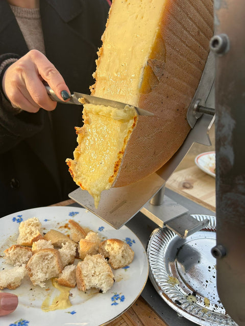 Appareil à Raclette Extérieur