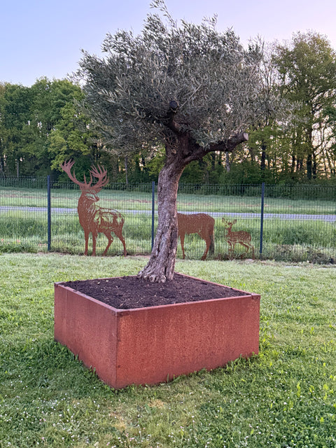Jardinière sans fond a poser au sol acier corten