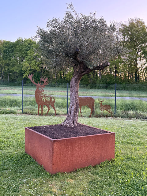 Jardinière sans fond a poser au sol acier corten