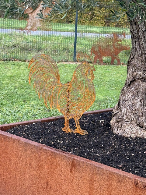 Coq Acier Corten