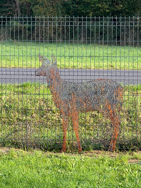 Biche acier corten